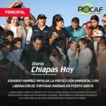 Eduardo Ramírez encabeza liberación de tortugas marinas en Puerto Arista.