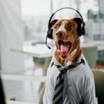 Perros “genios” aprenden palabras al escuchar conversaciones