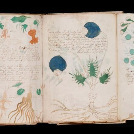 ¿Un paso más cerca de descifrar el manuscrito Voynich?