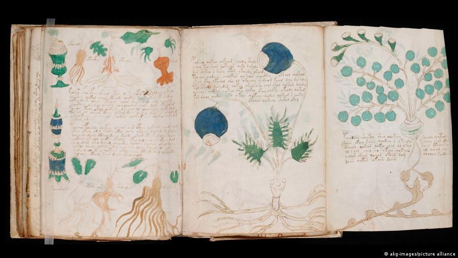 ¿Un paso más cerca de descifrar el manuscrito Voynich?