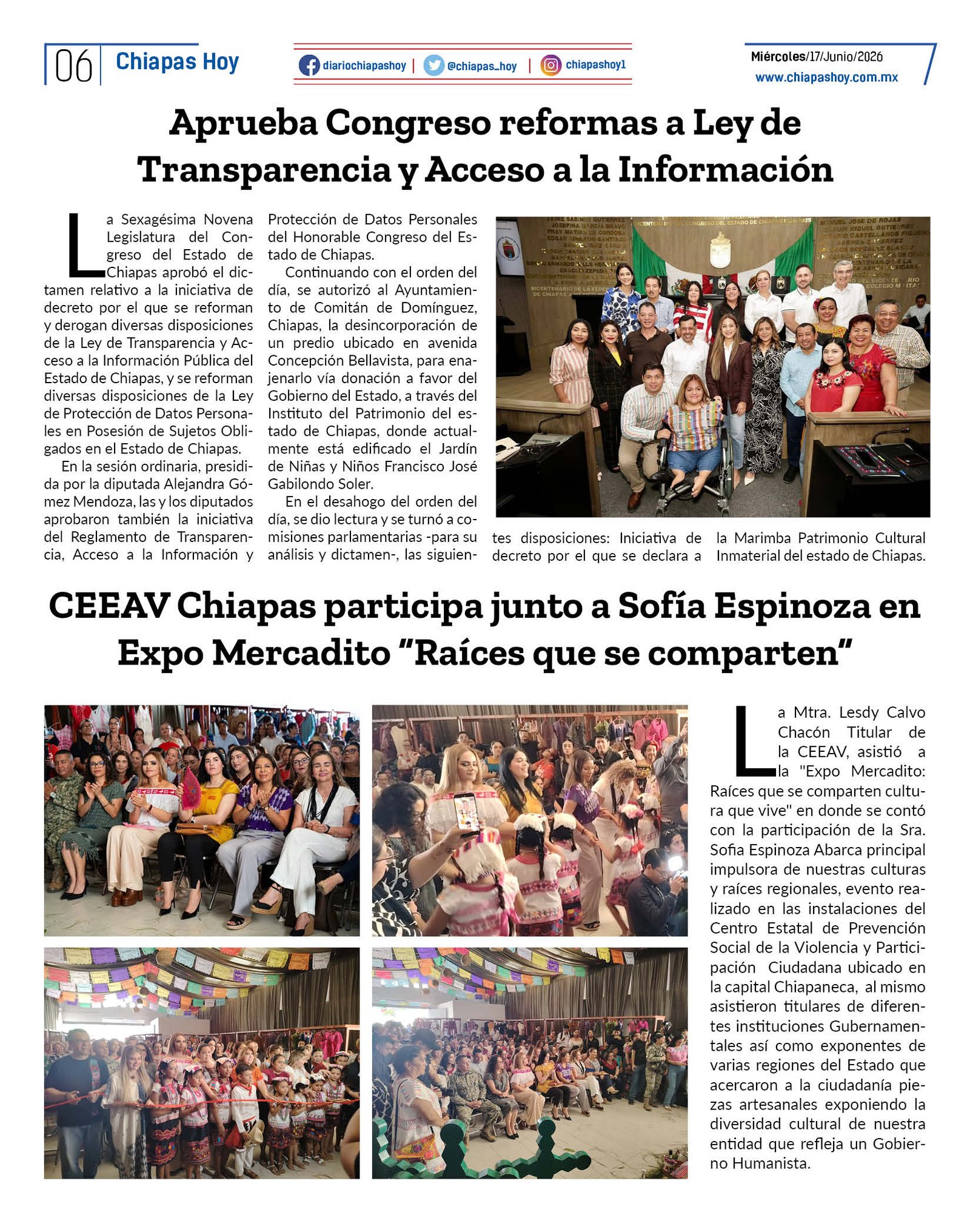 paginas6