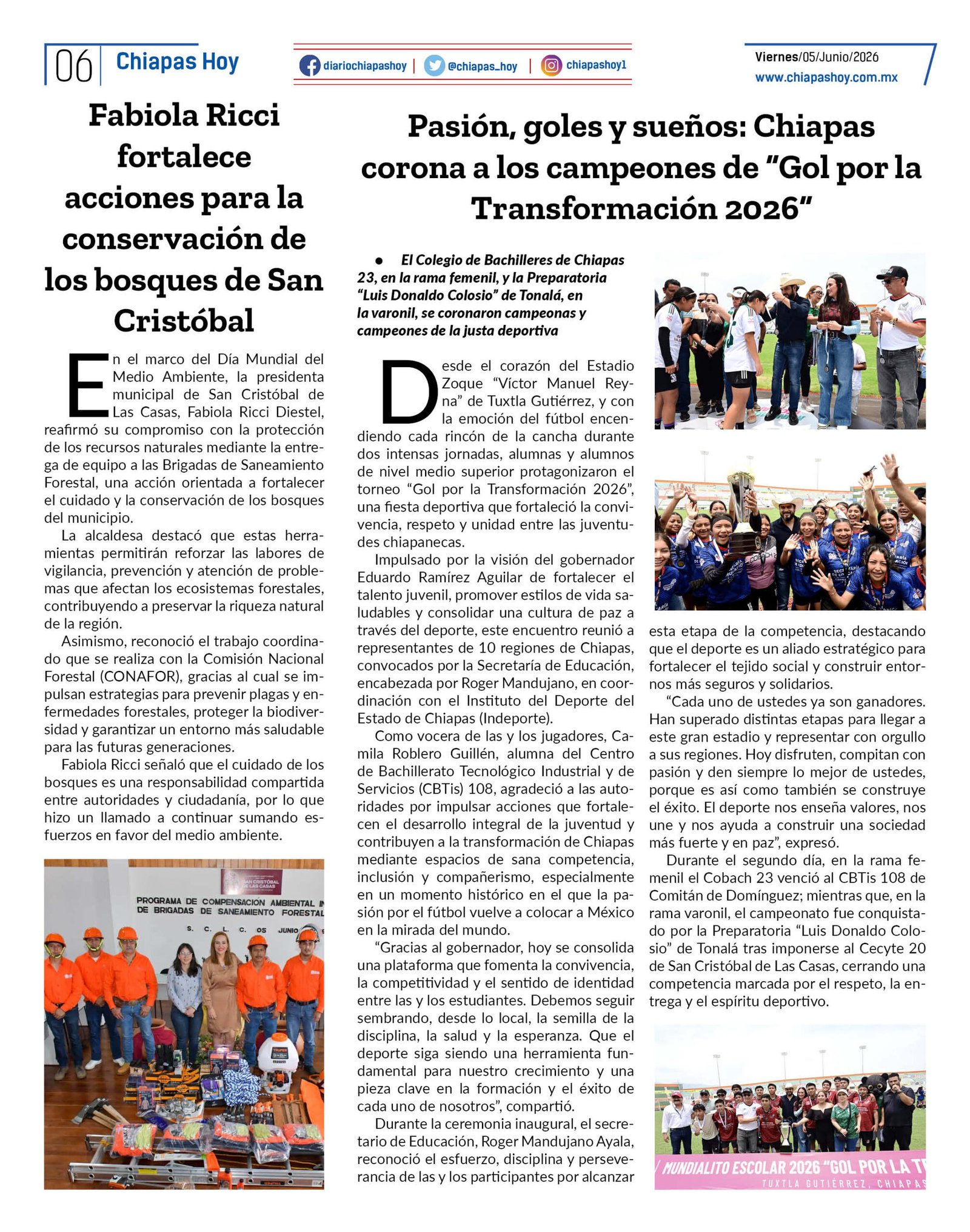 paginas6