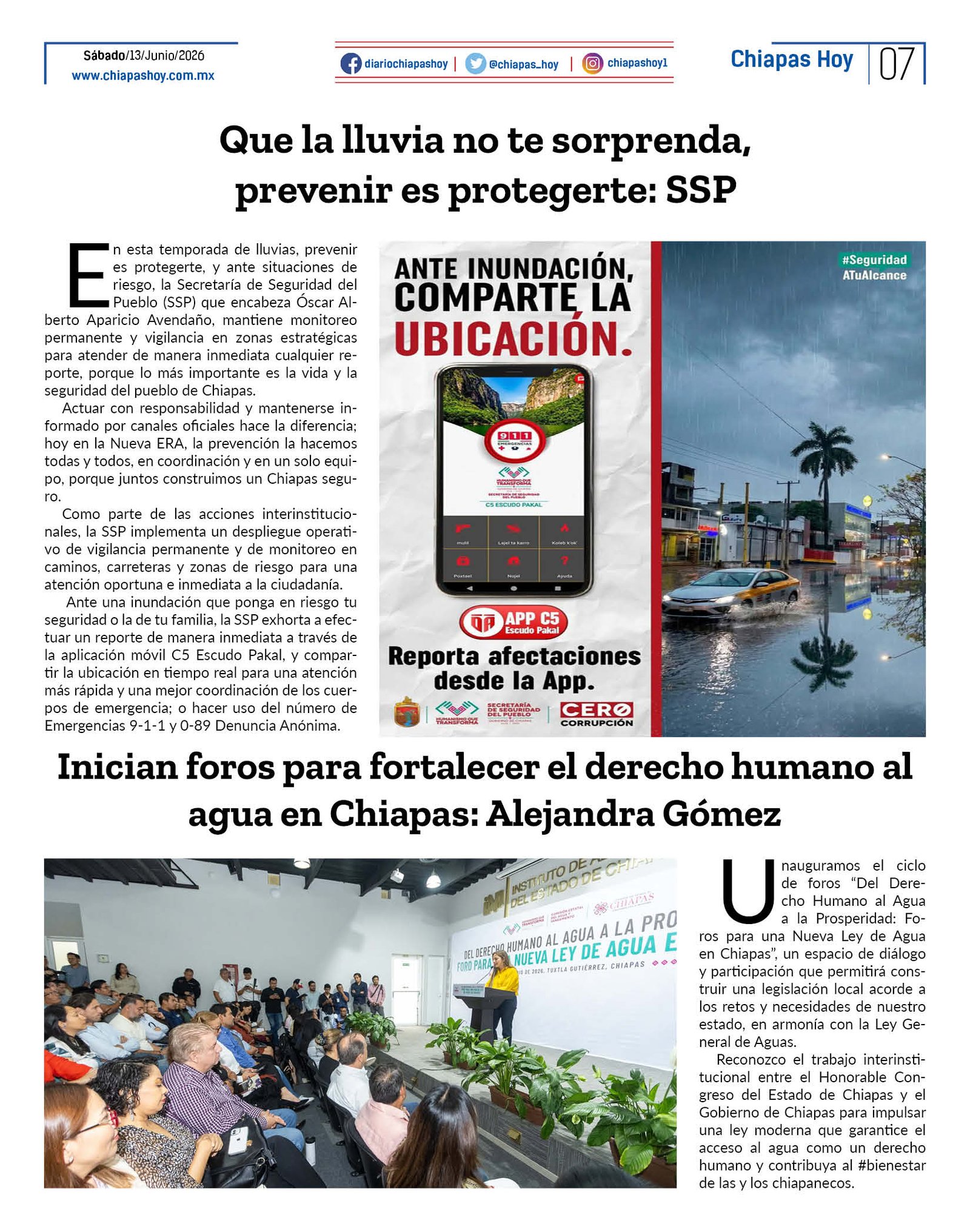 paginas7