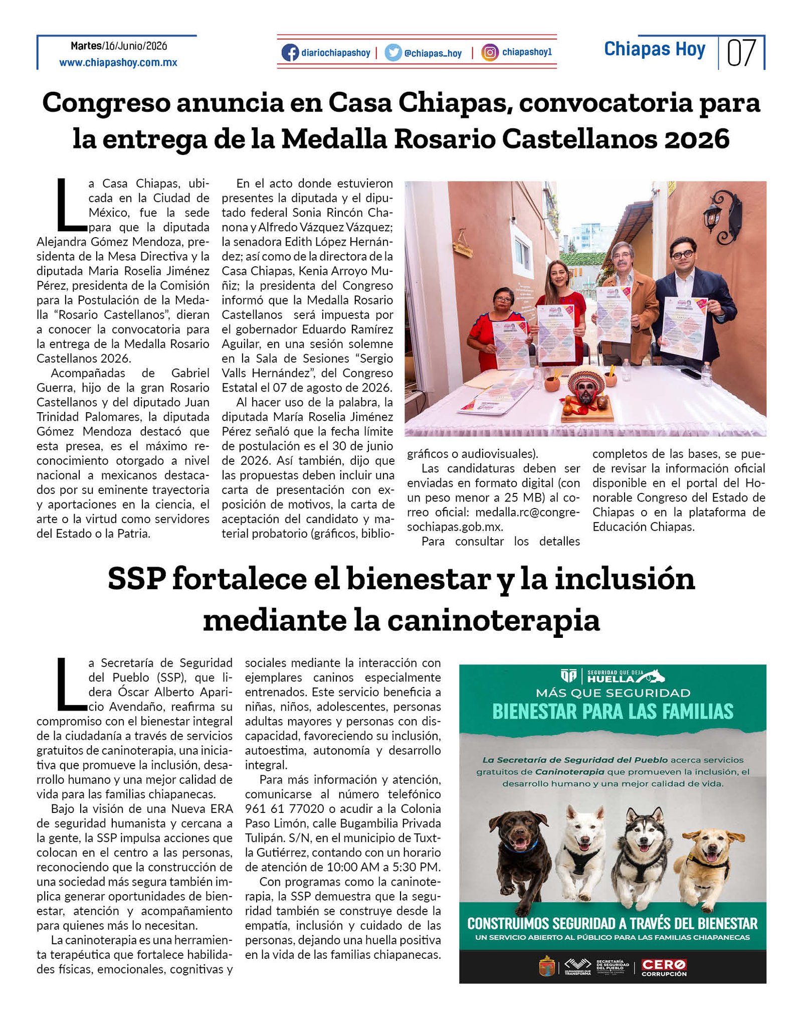 paginas7